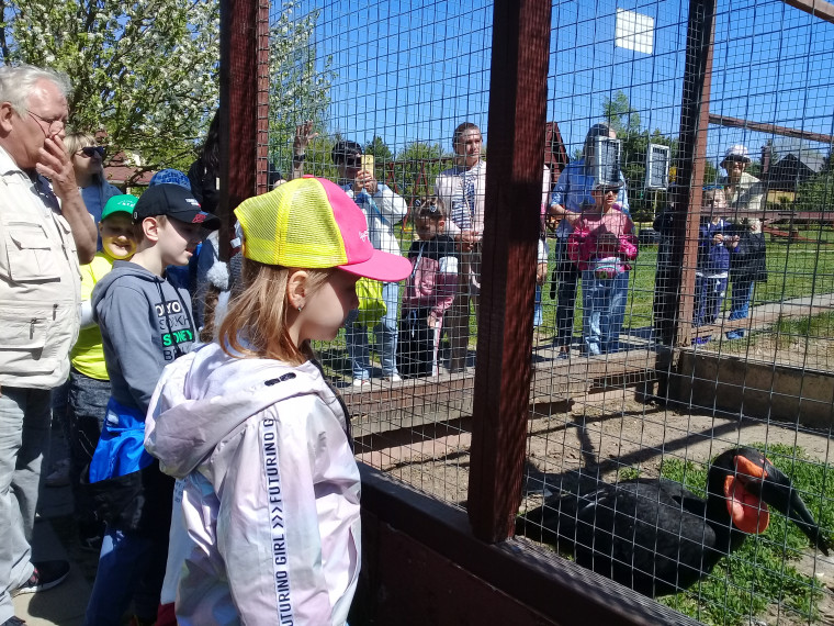 1 В класс посетил парк птиц &quot;Воробьи&quot; в Калужской области.